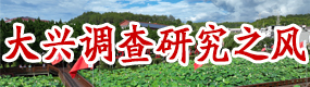 大兴调查研究之风