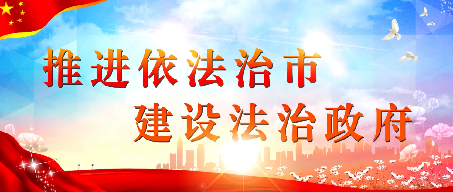 推进依法治市 建设法治政府.png