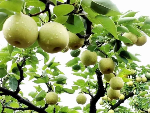 微信图片_20240722095232