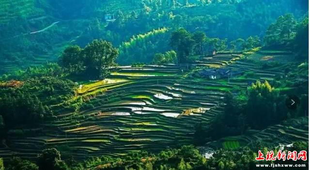 春耕（黄志松摄影） (2)