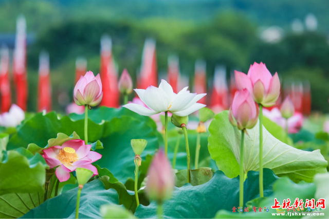 微信图片_20201125173732